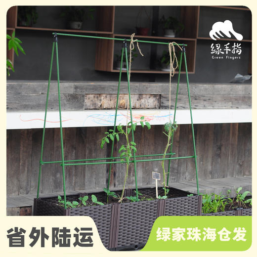 园艺·瓜豆支架 | 公平贸易 * Fruit bracket | Fair-Trade 商品图0