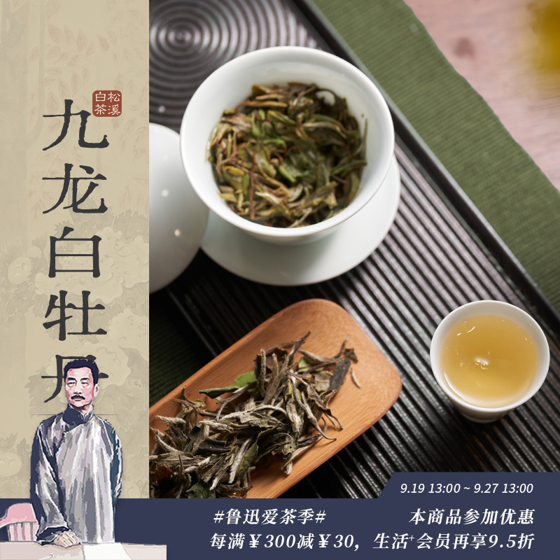 九龙白牡丹 量藏装480g（80g*6）一级 三联生活周刊出品