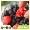 有机冻干混合浆果脆| 绿家自产 Organic freeze dried fruit chips | Self-production 商品缩略图0