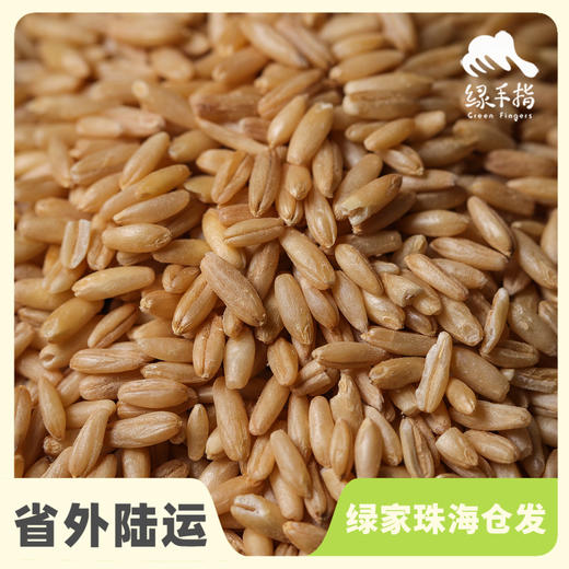 有机燕麦米 | 合作生产*Organic  swallow rice| Coproduction 商品图0