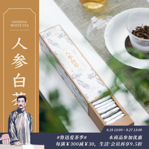 人参白茶 便携小茶饼140g（7g*20片）一片一泡冲泡简单 三联生活周刊出品 商品图0