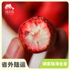 生态冻干草莓  | 绿家自产 *  Ecological Freeze Dried   Strawberry | Self-production 商品缩略图0