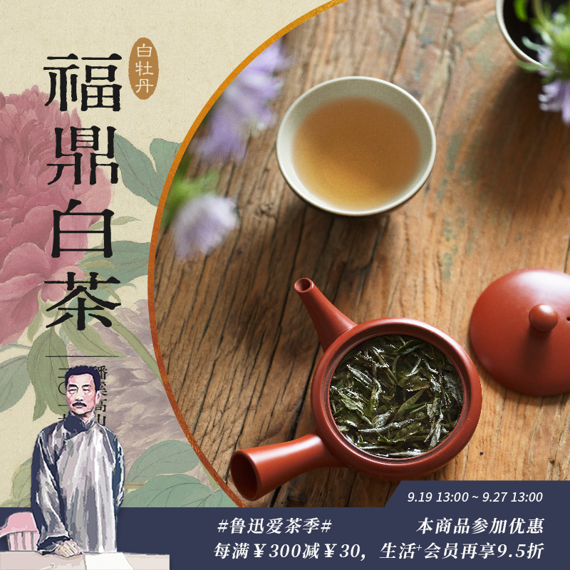 福鼎白茶500g量藏装 磻溪高山特级白牡丹 年份2019头春原料（三联生活周刊出品）