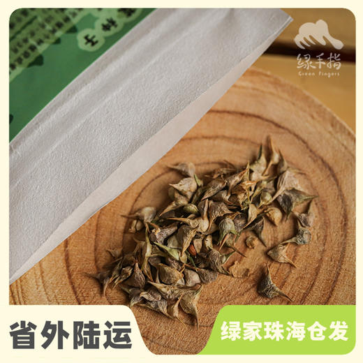 种子·菠菜 | 公平贸易 *   Spinach seed | Fair Trade Items 商品图0