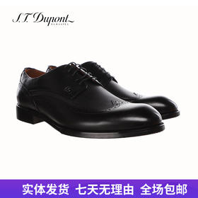 【自营】S.T.DUPONT/都彭 男牛皮革鞋 E31136410