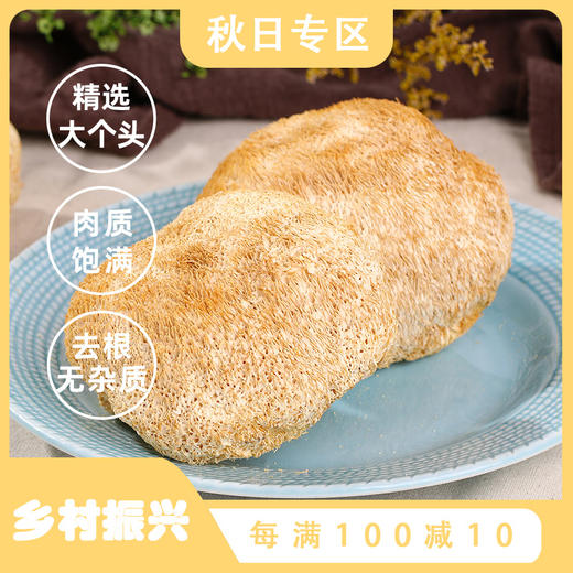 【国庆正常发货】【养胃膳食】在菌屋 东北猴头菇干货120g/袋 商品图0