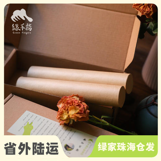 南阳艾条 | 合作生产 * Nanyang Mugwort Stick  | Coproduction 商品图0