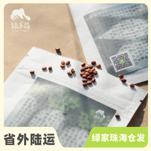 种子·白萝卜 | 公平贸易 * White radish seed | Fair Trade Items 商品图0