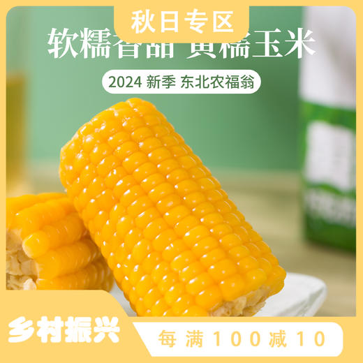 农福翁东北黄糯玉米 2024新季 微波蒸煮烧烤 小棒10赠1 商品图0