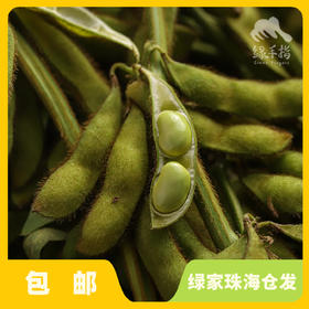 生态毛豆（发黄6折促销，只发广东省内） | 合作生产*Ecological edamame |Coprodution