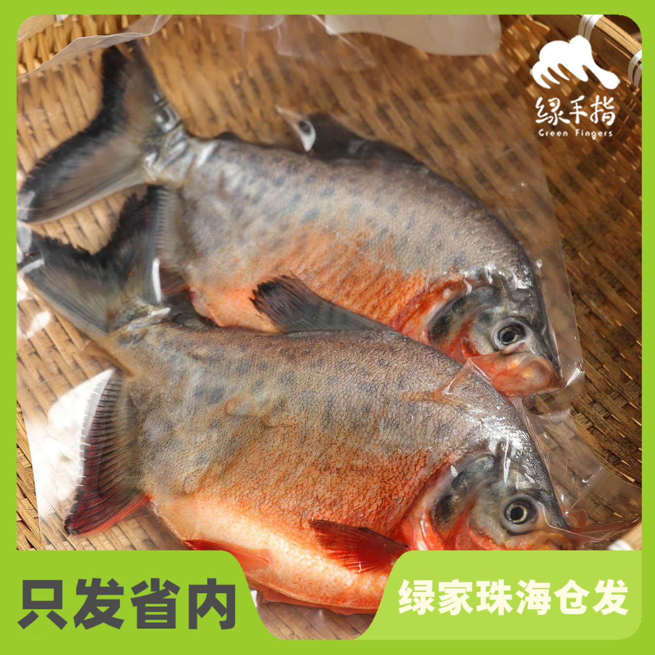 生态鲳鱼 （冷鲜，仅限省内下单）| 绿家自产 * Ecological pomfret | Self-production