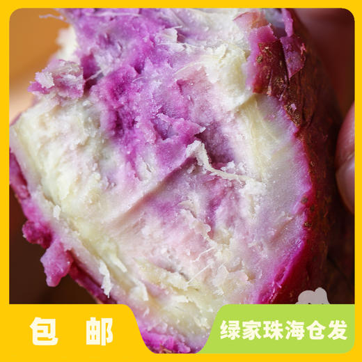 生态红薯（本地白、一点红、烟薯） | 绿家自产*Eco-sweet potato | Self-production 商品图2