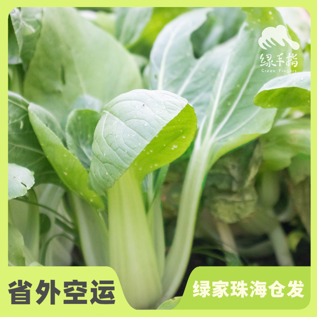 生态上海青 | 绿家自产* Eco-Chinese cabbage | Self-production