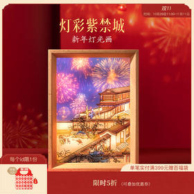 【故宫礼品】灯彩紫禁城新年灯光画