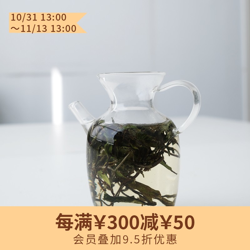 执壶玻璃泡茶器 容量300ml 适合泡白茶/花草茶