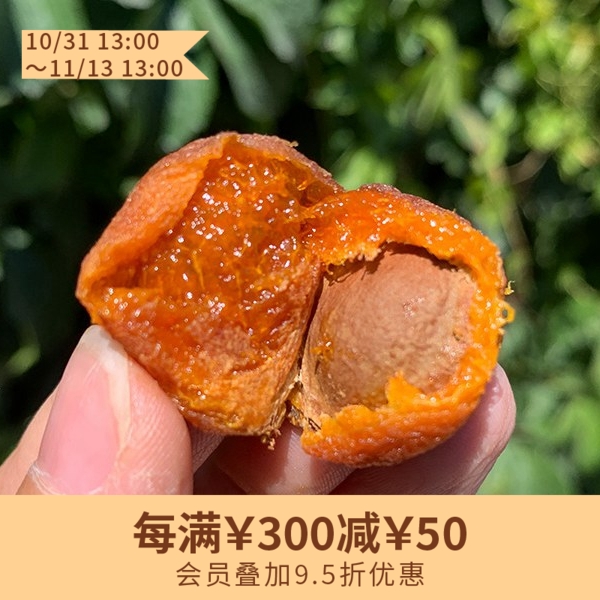 茶食 · 阿克苏吊干杏（300g*2袋/3袋）自然蒸晒 原汁原味 杏香浓郁（乌鲁木齐京东发货/四川成都中通发货）