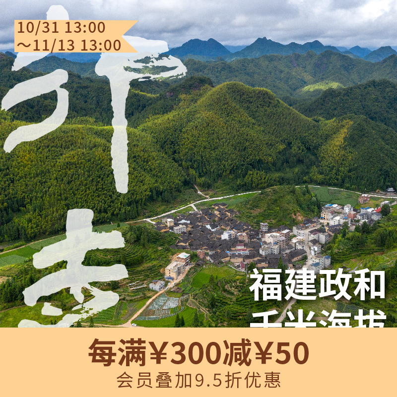 政和白茶白牡丹 2024谷雨采摘千米海拔高山茶青 500克量贩装（三联生活爱茶推荐）