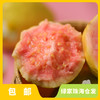 有机胭脂红番石榴 | 绿家自产 * Carmine guava | Self-production 商品缩略图0