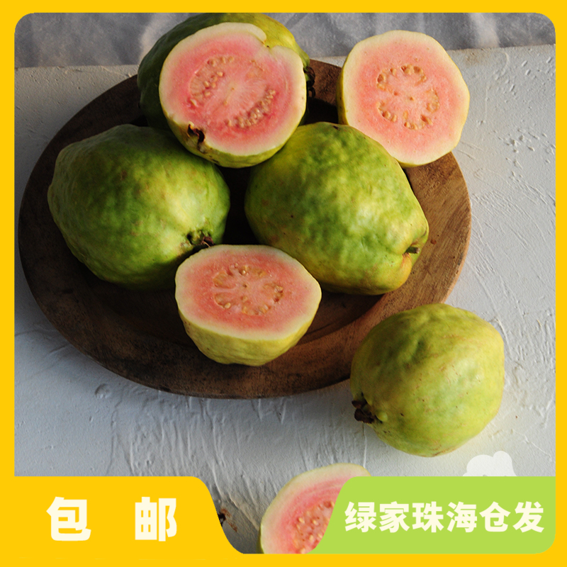 有机胭脂红番石榴（小果） | 绿家自产 * Carmine guava | Self-production