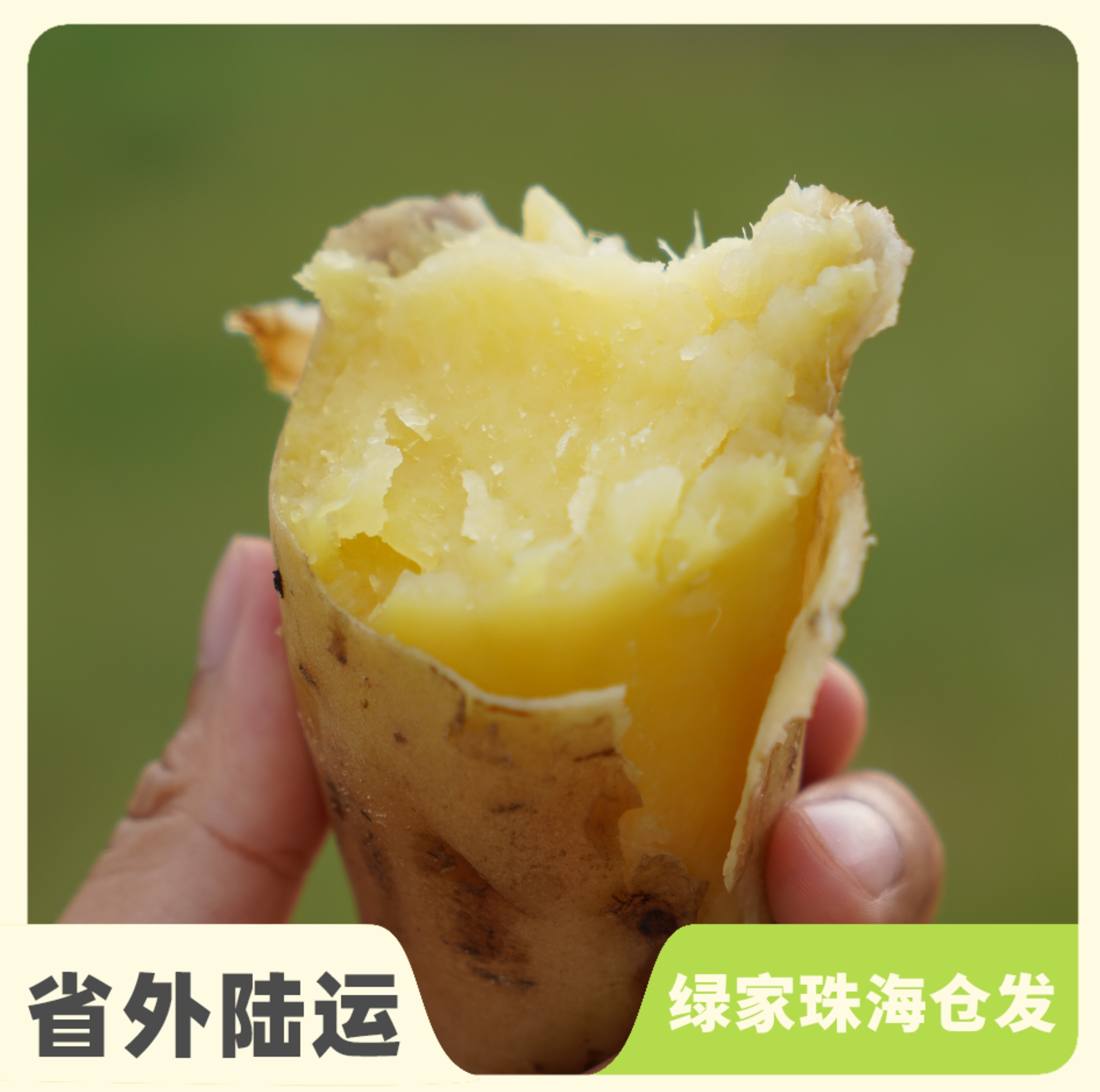 生态红薯（多品种：本地白、烟薯、一点红、西瓜红） | 绿家自产*Eco-sweet potato | Self-production