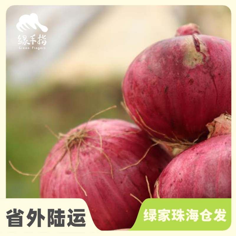 生态洋葱（河北） | 合作生产* Eco- onion | Coproduction