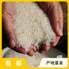 有机五常大米（稻花香二号-粳米） | 合作生产 *Wuchang rice | Coproduction 商品缩略图0