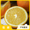 生态赣南脐橙|合作生产*Ecological Gannan navel orange| Partner Production 商品缩略图2