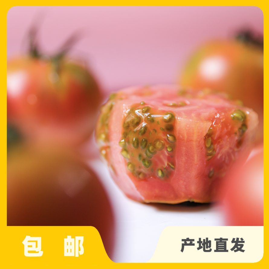 生态草莓西红柿（河北） | 合作生产* Eco- strawberry tomato| Coprodution