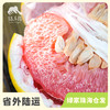 生态三红蜜柚 | 合作生产 *Ecological three red honey pomelo Partner Production 商品缩略图0