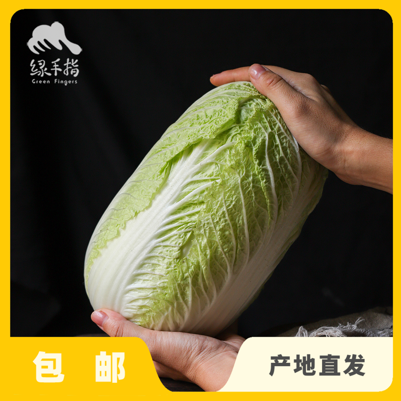 生态大白菜（吉林，中通） | 合作生产 *   Ecological Cabbage | Partner Production