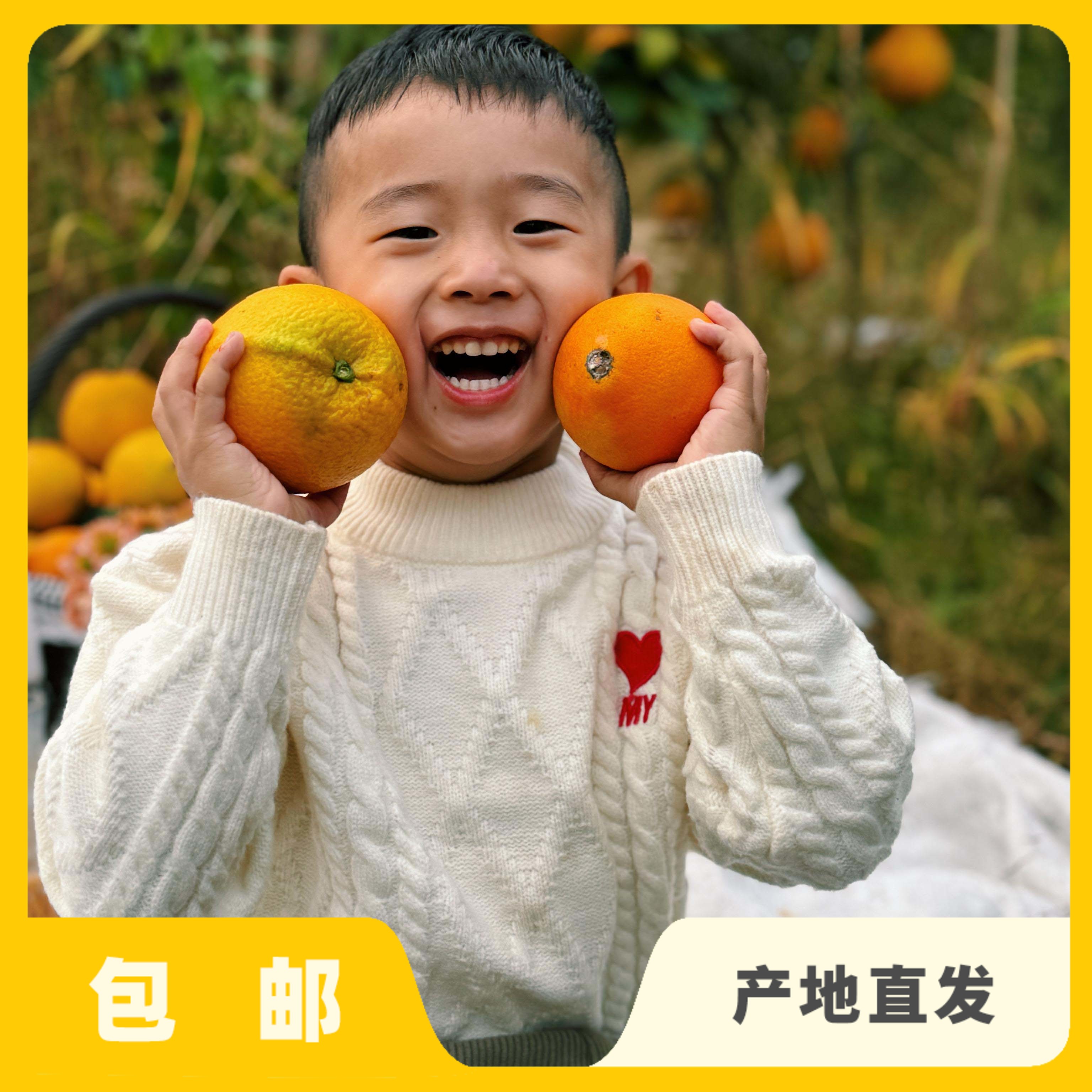 生态赣南脐橙|合作生产*Ecological Gannan navel orange| Partner Production