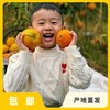 生态赣南脐橙|合作生产*Ecological Gannan navel orange| Partner Production 商品缩略图0