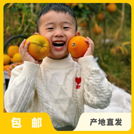 生态赣南脐橙|合作生产*Ecological Gannan navel orange| Partner Production 商品图0