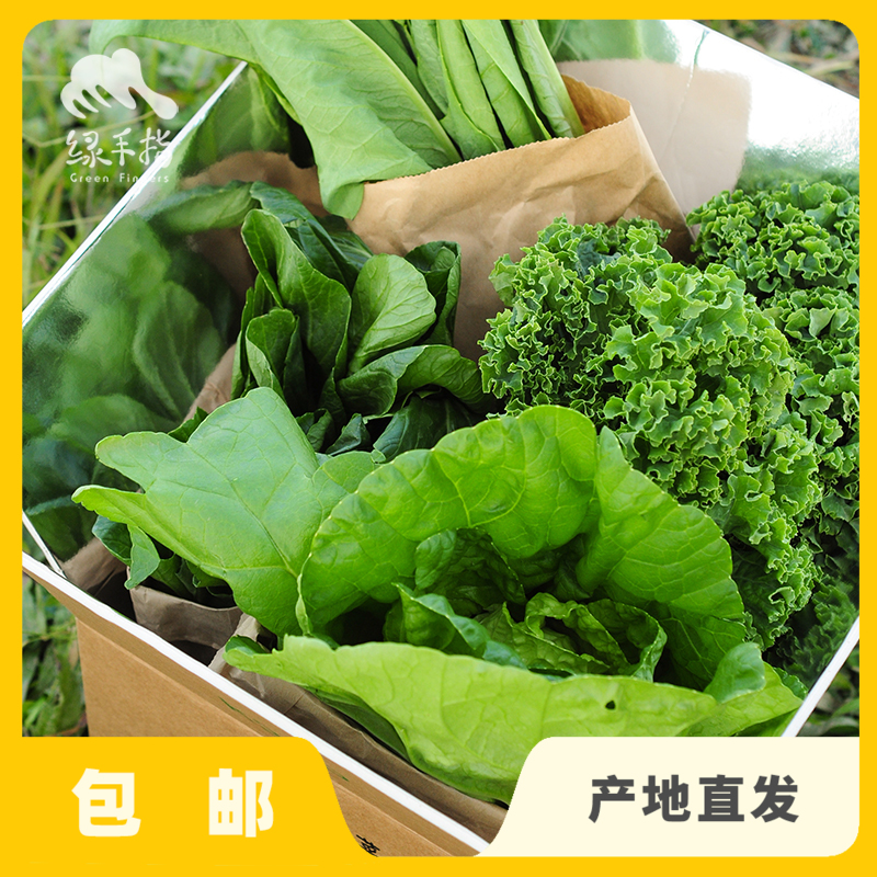 生态时令蔬菜箱（一件包邮）| 绿家自产*ecological eafy vegetables | Self-production