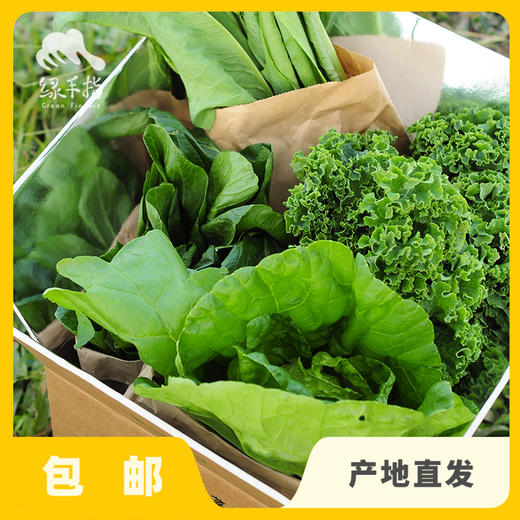 生态时令蔬菜箱（一件包邮）| 绿家自产*ecological eafy vegetables | Self-production 商品图0