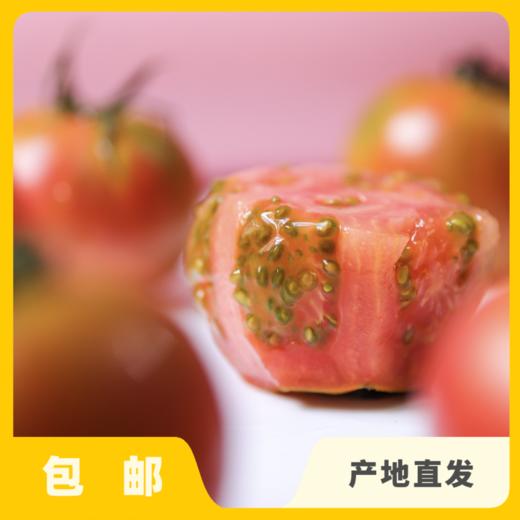 生态草莓西红柿（河北） | 合作生产* Eco- strawberry tomato| Coprodution 商品图0