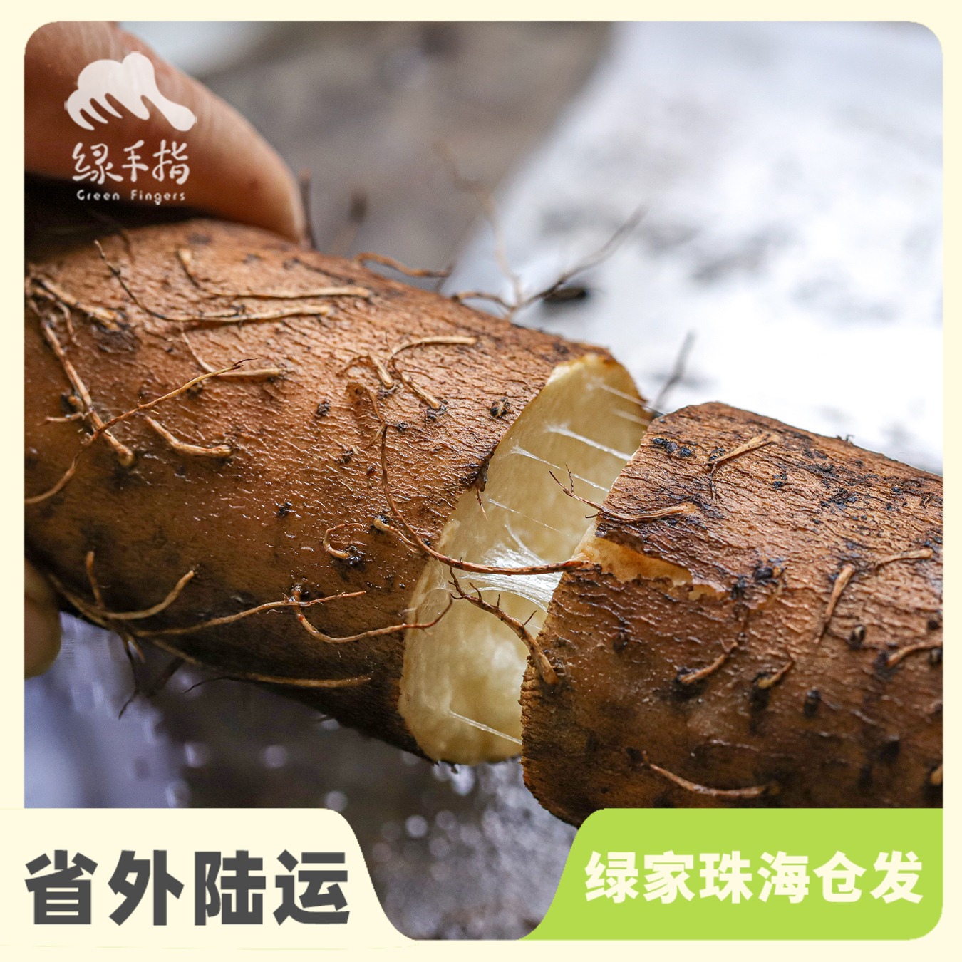 生态淮山药 | 绿家自产*Eco-yam | Self-production