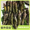 有机黄辣丁鱼（临期6折） | 合作生产 * Organic-Huang spicy fish| Coproduction 商品缩略图0