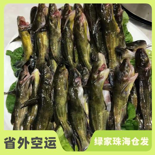 有机黄辣丁鱼（临期6折） | 合作生产 * Organic-Huang spicy fish| Coproduction 商品图0