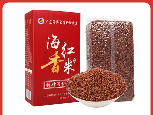【 糖高人放心吃】海红香米   红米  海田种植 8斤装 商品图3