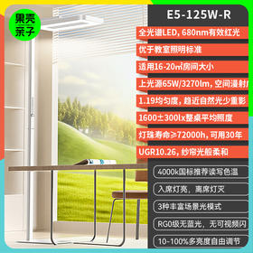 【享安装服务】孩视宝全光谱阳光大路灯E5-125W-R