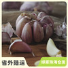 生态小红蒜（半干蒜）| 合作生产*Eco purple garlic | Partner Production 商品缩略图3