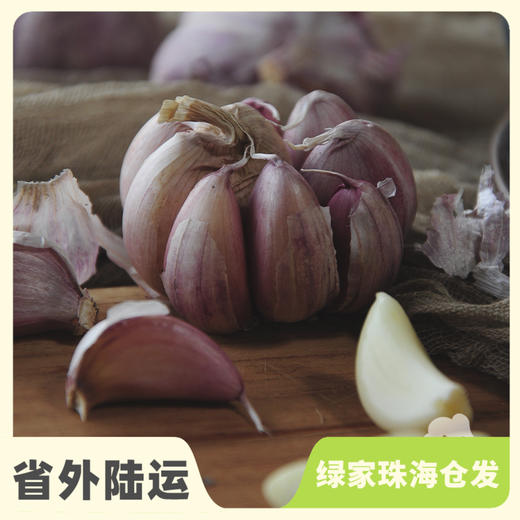 生态小红蒜（半干蒜）| 合作生产*Eco purple garlic | Partner Production 商品图3