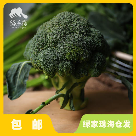生态西兰花/花椰菜（陆运包邮） | 绿家自产*ecological broccoli | Self-production 商品图2