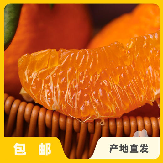 生态丹棱不知火（丑橘） | 合作生产 *Eco-Danling Dekopon | Partner Production 商品图1