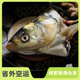 生态白鲢鱼分段 （临期8折，冷冻，广东省外可下单）| 绿家自产 * Eco-bighead Carp | Self-production