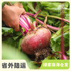 生态甜菜根（包邮） |绿家自产*Ecological Beetroot | Self-production 商品缩略图0