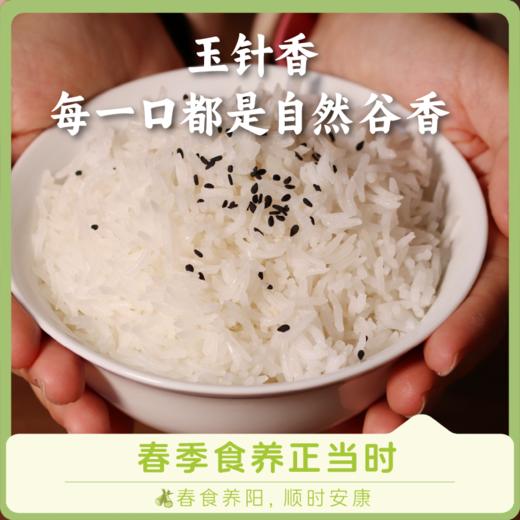 【益品良食】谦益玉针香富硒大米5斤 谦益虚心谷农场 山地冷泉灌溉 自然农耕 米粒似针 晶莹如玉 米香浓厚“超泰米” 商品图0