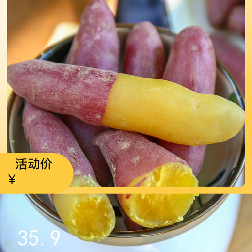 临安天目正宗“手指”小香薯 没有粗硬纤维感 口感像板栗【社群】 商品图0