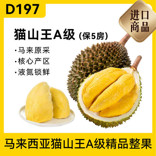 【BF】猫山王榴莲精品整果A级（房数保证 不足包赔） 商品图1